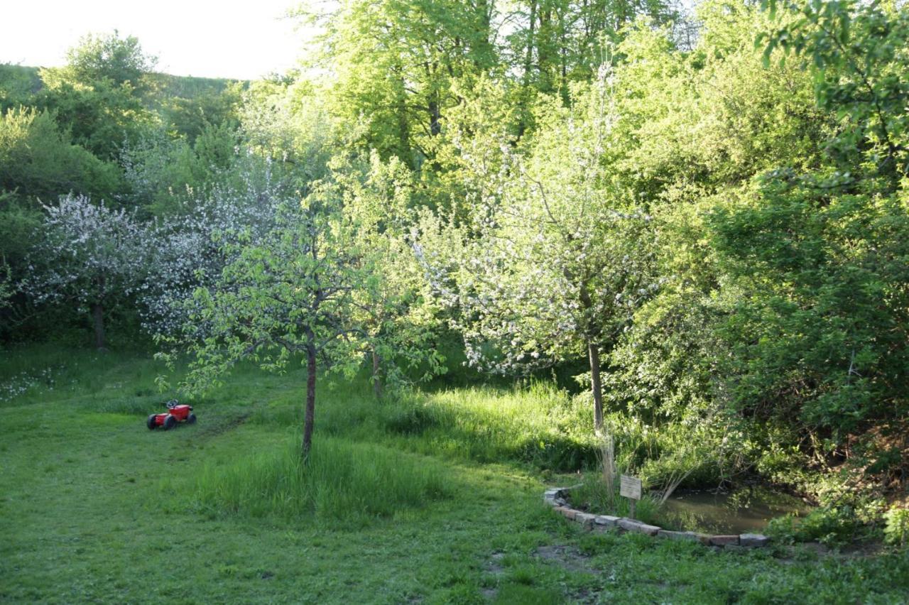 Grosse Wohnung / Haushaelfte In Peetzig Am See Angermunde Exterior foto